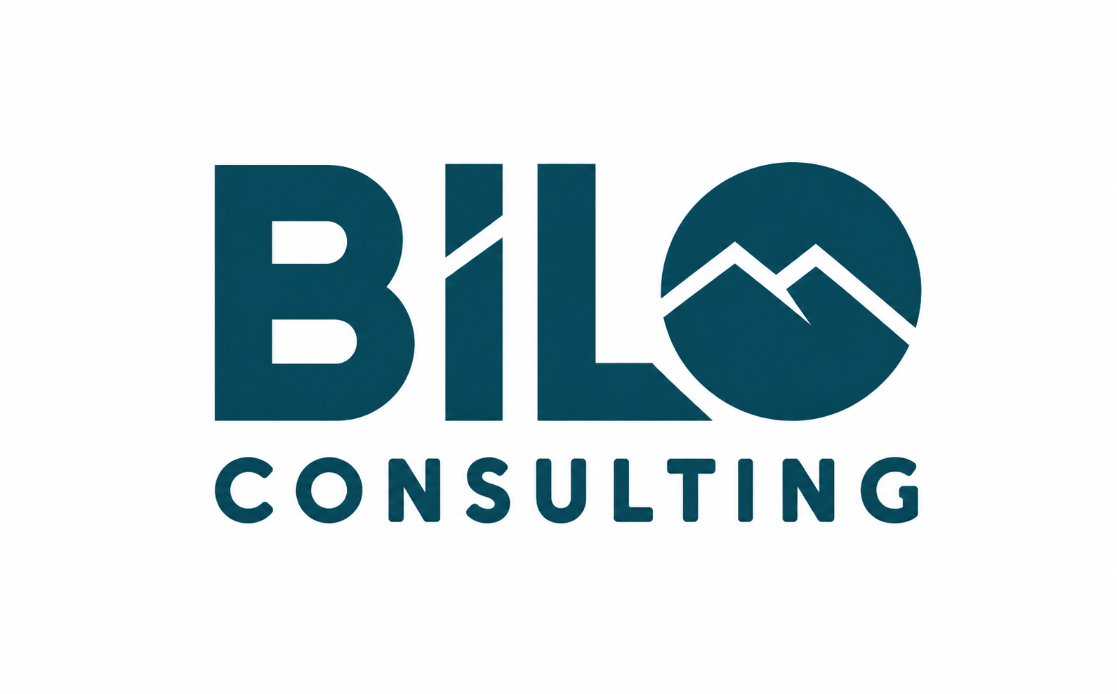 Bilo Consulting